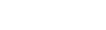 Fraud Detect by Cybermitra.ai